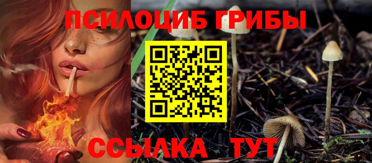 Галлюциногенные грибы Cubensis  Вход с VPN  Ангарск 