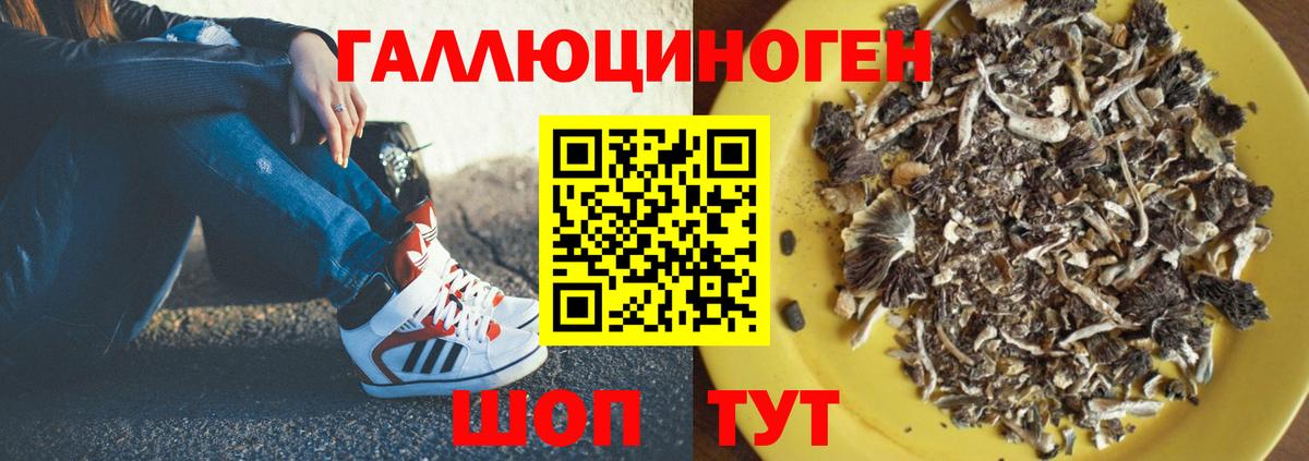 Псилоцибиновые грибы мицелий Ангарск